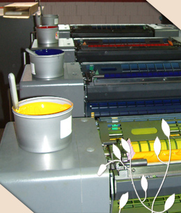 Slideshow Image 3