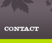 Contact Contact
